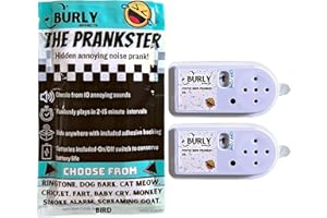 Burly Effects Hidden Noise Maker Gag Prank - 10 Different Sounds - Ringtone, Dog, Cat, Cricket, Fart, Baby Cry, Smoke Alarm, Monkey, Screaming Goat, Bird (2 Pack)