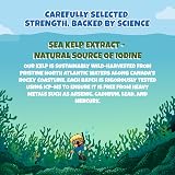Health4All Sea Kelp Iodine 75µg 90 Chewable TabletsKids 3+ UK view 7