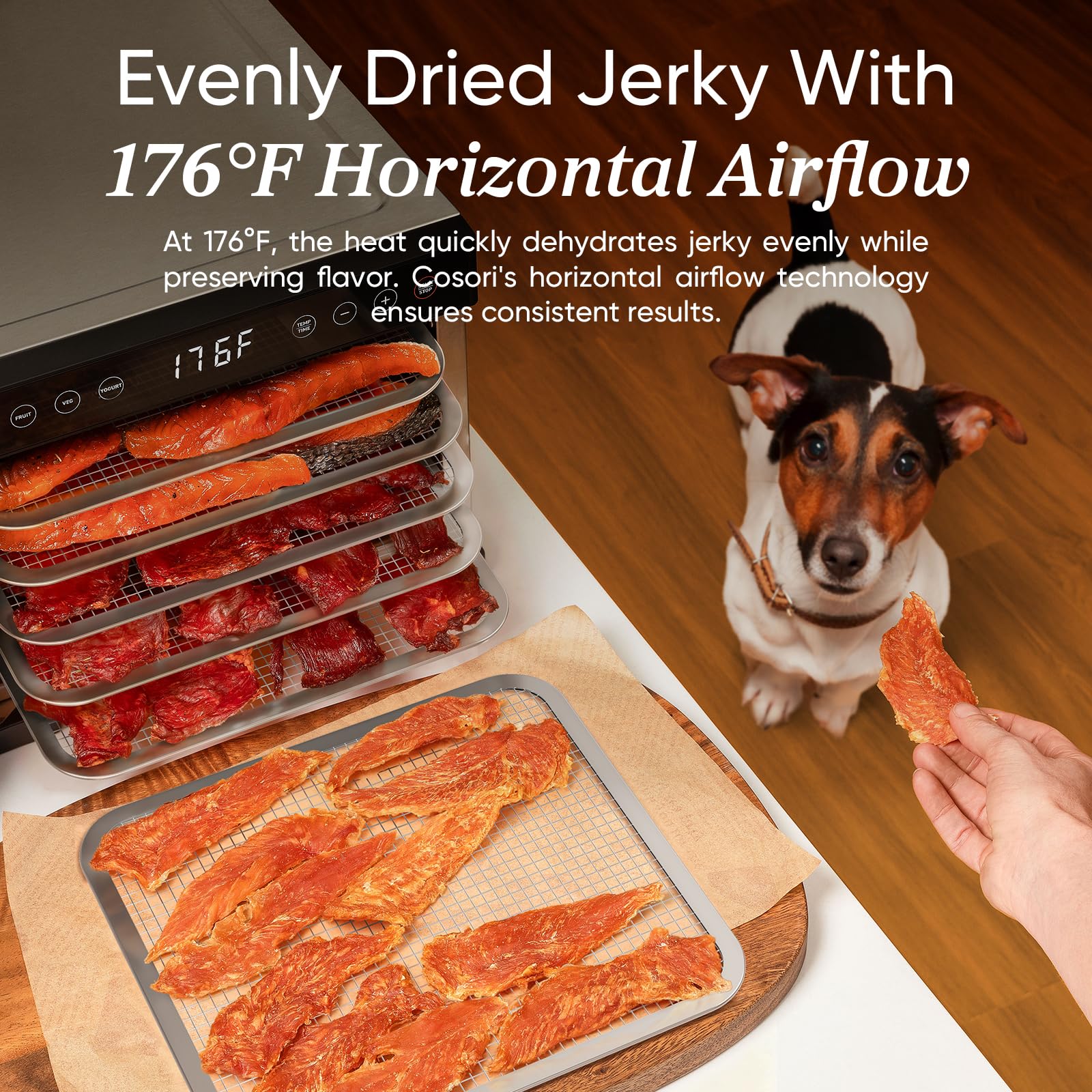 COSORI Food Dehydrator for Jerky, 176°F Temperature Control, 5 Stainless Steel Trays Dryer Machine, 4 Presets, 48H Timer, for Dog Treats, Meat, Fruit, Veggies, Snacks, Recipe Book Included