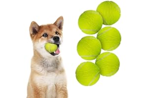 ALL FOR PAWS 2-inch Tennis Balls for Dogs, Fetch Toys for Small Medium Dogs, Bouncy & Durable Tennis Balls for Ball Launcher Toy, 6 Pack Fetch Toy for Outdoor Play
