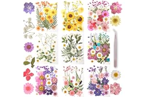 GVHNTK 200Pcs Dried Pressed Flowers Resin Mold Real Flowers Natural Dry Leaves Bulk Mixed Colorful Herbs Kit with Tweezers for Scrapbooking DIY Candle Jewelry Crafts Making Nails Decoration(Multicolor)