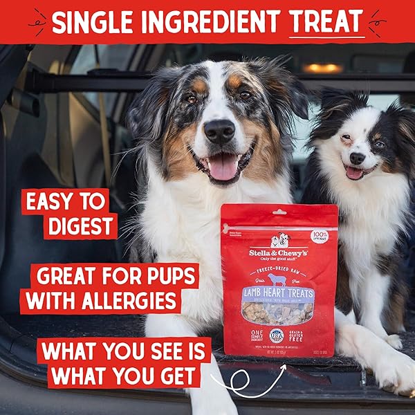 STELLA & CHEWY’S FREEZE-DRIED RAW LAMB HEART DOG TREATS – SINGLE INGREDIENT, NO ADDITIVES – PREMIUM TRAINING TREATS – PERFECT FOR PICKY EATERS – 3OZ BAG