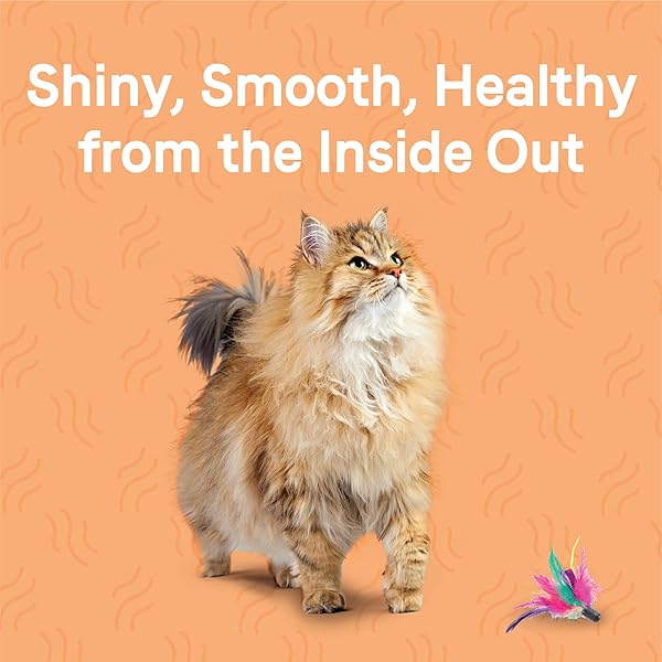 CANIDAE GOODNESS FOR SKIN AND COAT, PREMIUM ADULT DRY CAT FOOD WITH REAL SALMON, 5 LBS.