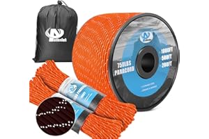 AYSTKNIET 750Ib Reflective Paracord Rope,100' 200' 500' 1000',4mm 11 Strand Parachute Spool Cord with Collecting Bag, para Cord Lanyard for Clothsline, Hammock, Camping, Hiking and Survival