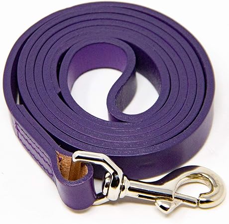 logical leather dog leash