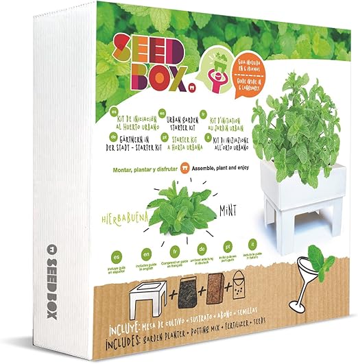 SeedBox SBMCUHB Huerto Urbano Cultívame Mini - Hierba Buena ...