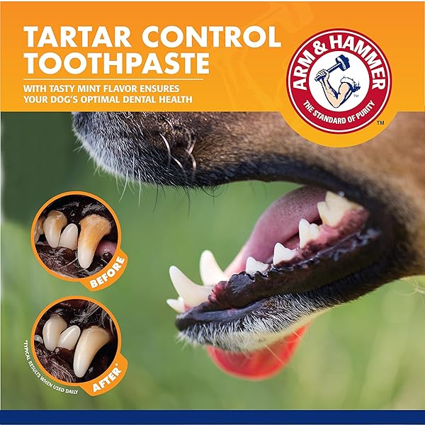 ARM & HAMMER FOR PETS DOG DENTAL CARE FRESH BREATH KIT | INCLUDES ARM & HAMMER BAKING SODA DOG TOOTHPASTE AND DOG TOOTHBRUSH | DOG PLAQUE REMOVAL KIT, MINT