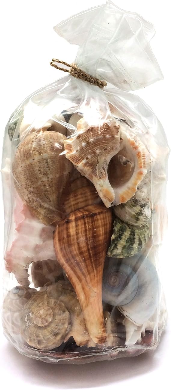 PEPPERLONELY Sea Shells Gift Bags Filled with Natural