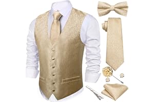 Barry.Wang Men's Suit Vest Tie Bowtie Set Formal Silk Paisley Waistcoat Hanky Cufflinks Lapel Pin Set Wedding Party 7PCS