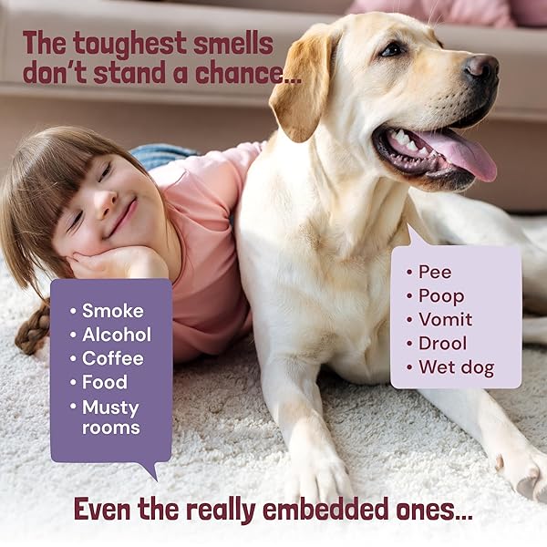 SUNNY & HONEY CARPET DEODORIZER AND FRESHENER POWDER – PET SAFE RUG REFRESHER FOR VACUUMING – BERRY ODOR ELIMINATOR FOR STRONG ODOR AND PET URINE (20 OZ)