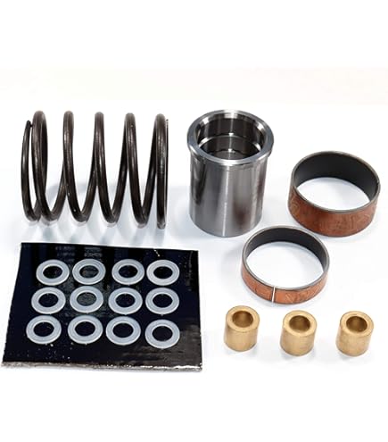 Amazon.com: Drive Converter/Clutch Rebuild Kit Compatible