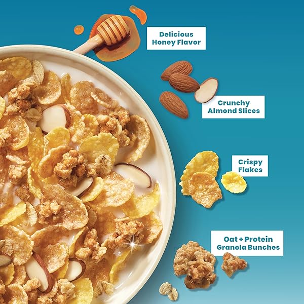HONEY BUNCHES OF OATS HONEY & ALMOND PROTEIN CEREAL, BREAKFAST OR SNACK, FAMILY SIZE, 15 OZ (PACK OF 1)