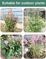 TOYPOPOR 10Pcs 10''x16'' Half Round Plant Support Stakes Garden Cage view 7