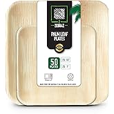 2 ZEBRAZ Premium Palm Leaf Disposable Plates – 50pc Square Set: 25pc 10” and 25pc 7”, Heavy-Duty, Microwave Safe, Natural Alternative to Plastic, Ideal for Parties, Weddings, Events, and Everyday Use
