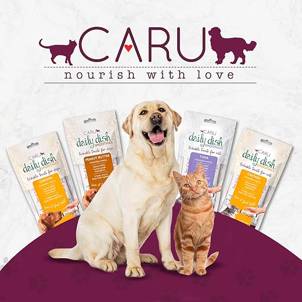 CARU DAILY DISH SMOOTHIES TUNA & SALMON RECIPE LICKABLE TREAT (PACK OF 4-14G TUBES, 56 G/2 OZ)