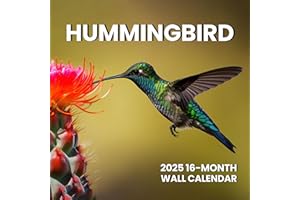 SUNEE Calendar 2025 for Wall, 2025 Large Wall calendar 12x12 Inches with 16 Months from Now to December 2025, Thick Glossy Paper, 12" x 24" (Open), Hummingbirds