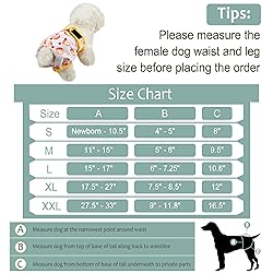 Female Dog Diapers - Premium Reusable Diapers for