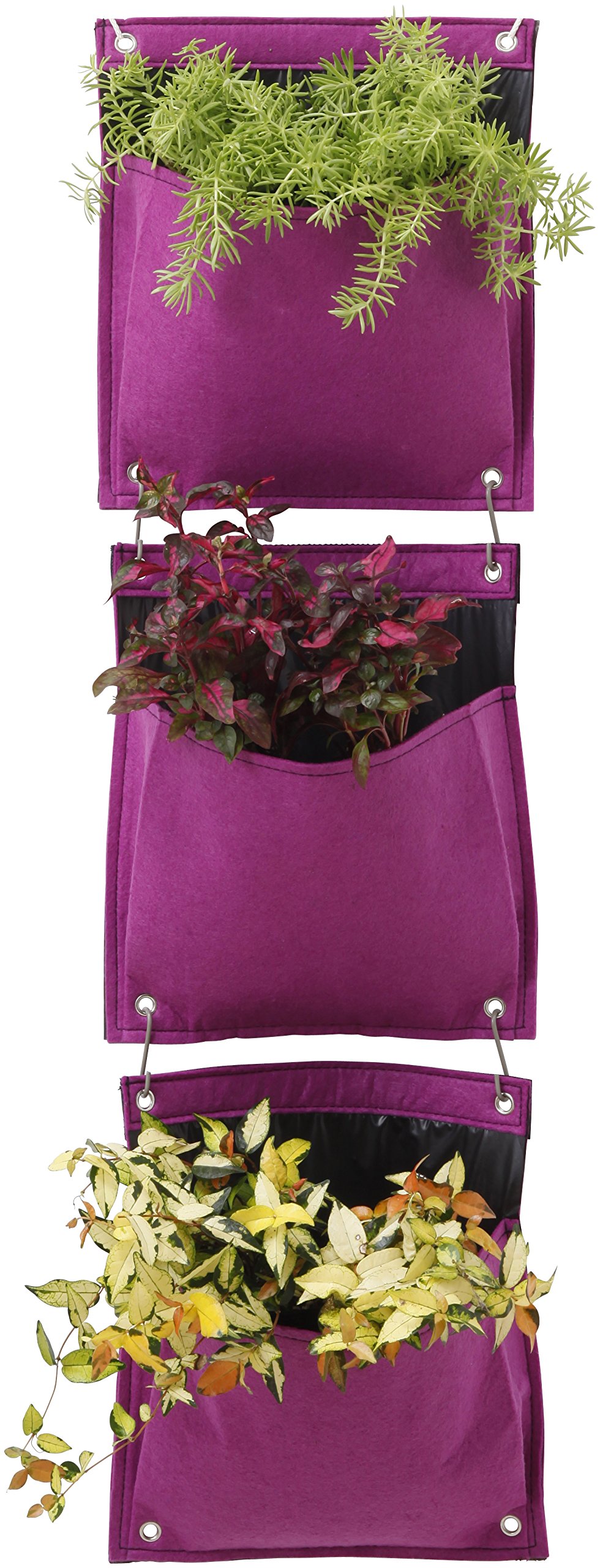 VegTrug Felt Herb Pot Set - Purple (3-Piece)