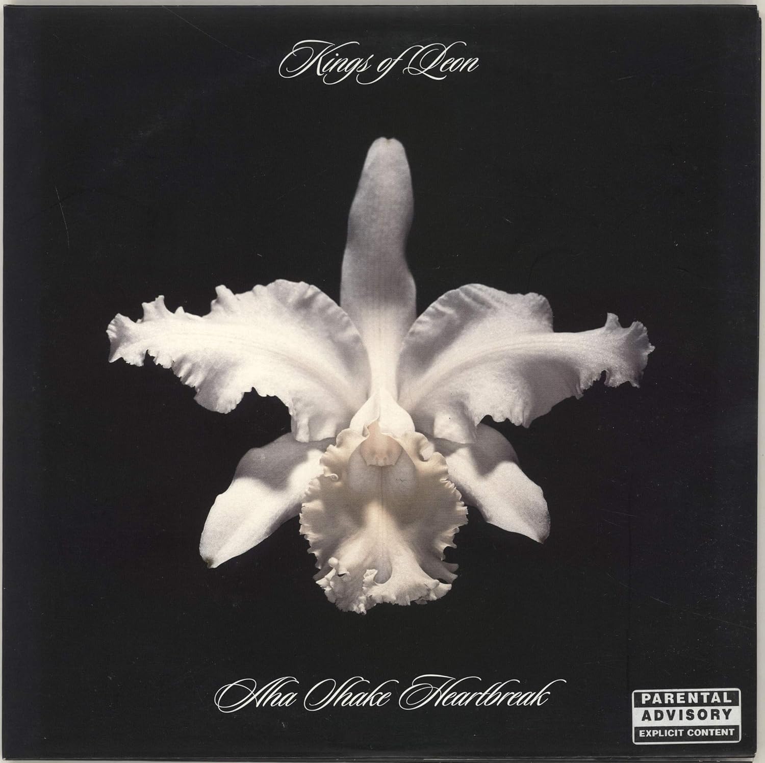 Kings of Leon - Aha Shake Heartbreak - Amazon.com Music