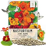 Seed Needs Nasturtium Seeds Jewel Mix Multicolored