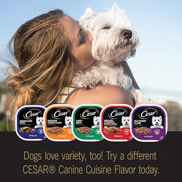 CESAR HOME DELIGHTS & CLASSIC LOAF IN SAUCE ADULT WET DOG FOOD, BREAKFAST & DINNER VARIETY PACK, WET FOOD FOR DOGS, 3.5 OZ TRAY, 24 COUNT