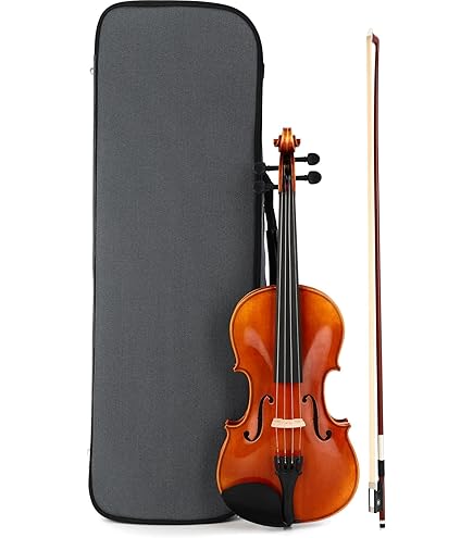 Amazon.com: D Z Strad Violin - Model 505F - Hellier Stradivarius