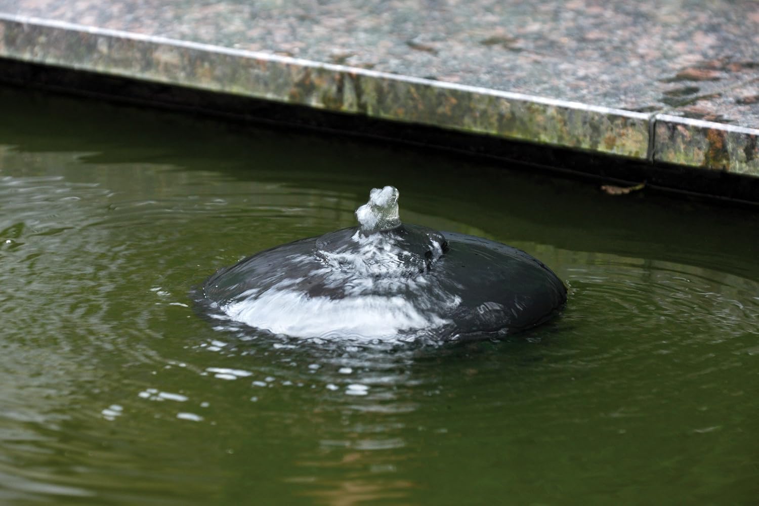 Velda 126463 Compact Filter for Ponds up to 5000 L Including Pump, 13 Watts, UV-C, Floating Combi Filter 2500 - Image 4