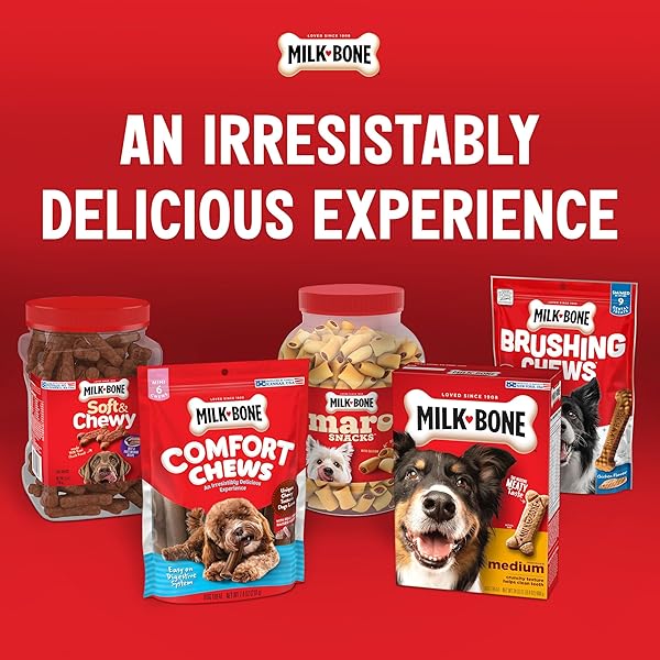 MILK-BONE ORIGINAL DOG TREATS BISCUITS FOR LARGE DOGS, 10 POUNDS (PACKAGING MAY VARY)