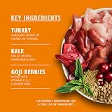 Lily's Kitchen Lean Machine Adult Wet Dog Food 6 x 400g Turkey Kale view 2