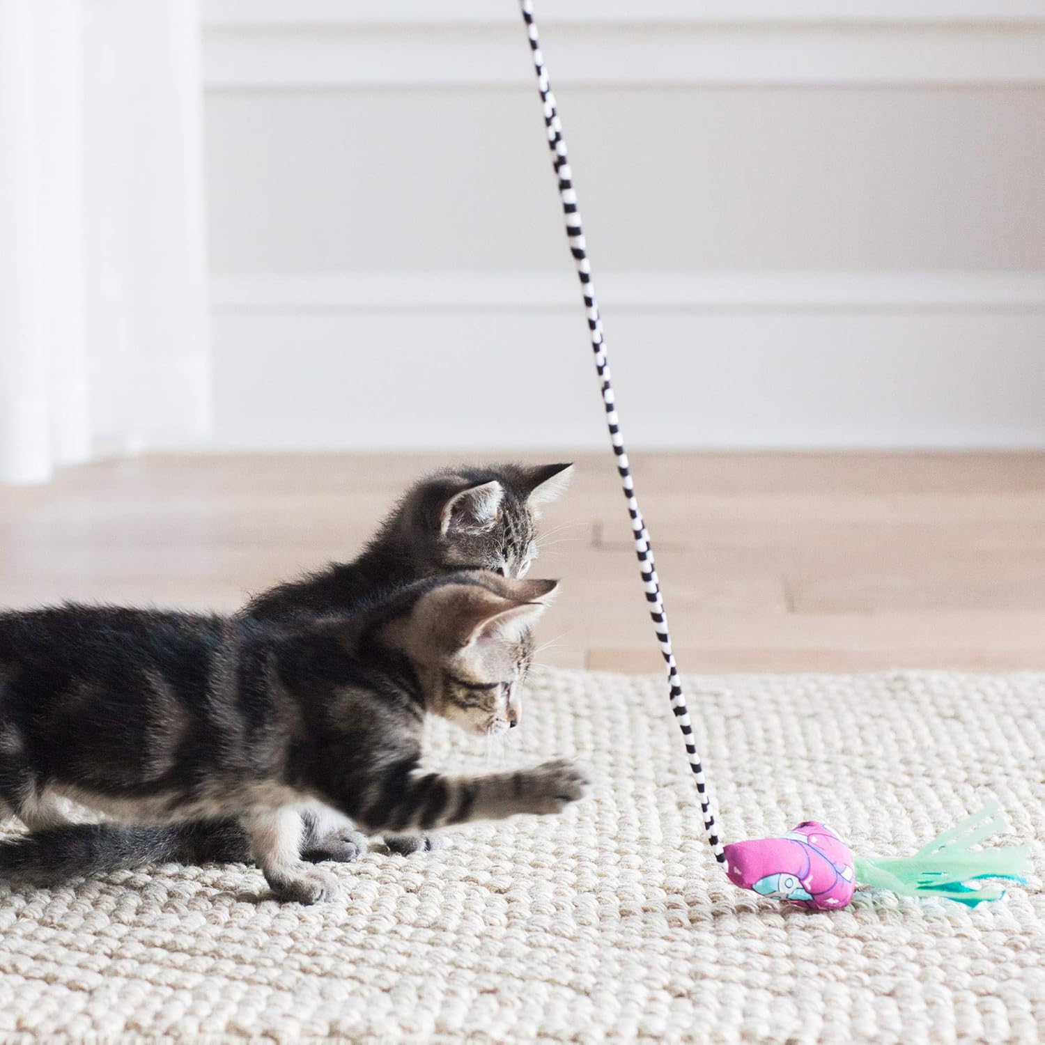 Petmate Fat Cat Catfisher Teasers Cat Toy, Tadpole Wand : Pet Supplies