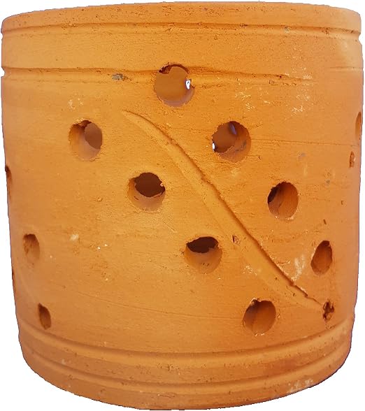vhorchideen Orquídeas Plantas olla de barro (12 cm Pura mano ...