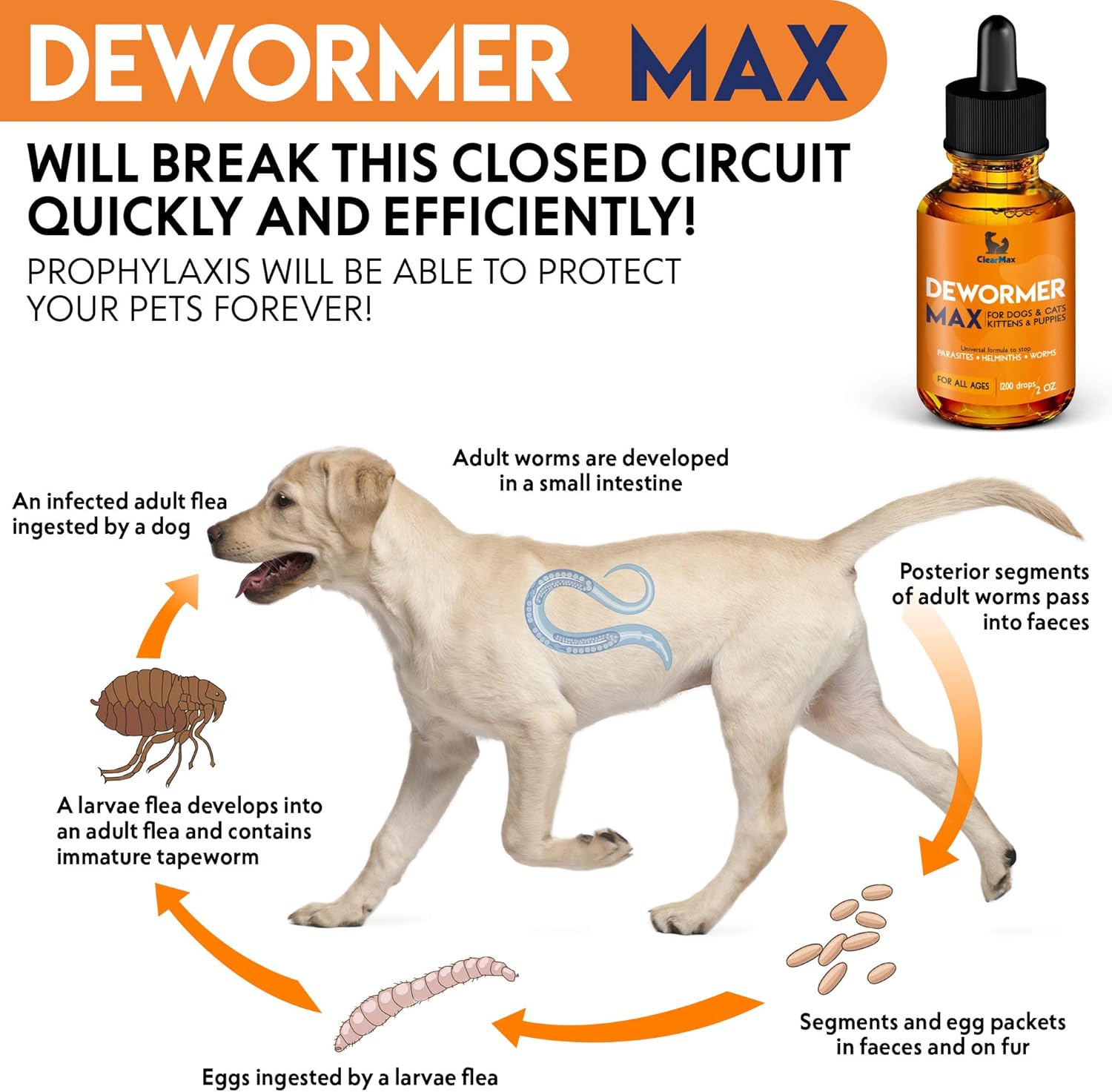 Dewormer + for Dogs and Cats Natural Treatment from