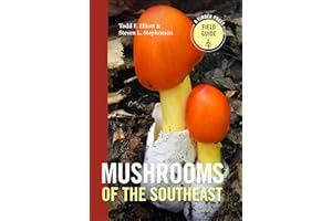 Mushrooms of the Southeast (Timber Press Field Guide)