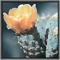 SIGNWIN Framed Canvas Wall Art Western Prickly Pear Cactus with Yellow Flower Botanical Succulent Photography Realism Modern Closeup Fun for Living Room, Bedroom, Office - 16x16 inches