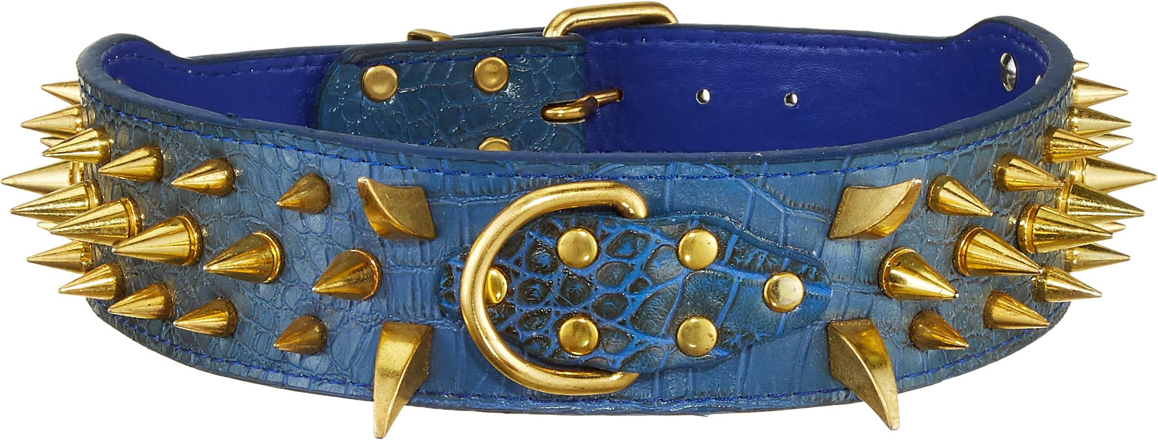 Nootie Blue Strong and Durable Elegant Dog Collar with Spike Studs, Medium, 100 g