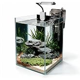 Craftsboys 1.5 Gallon Fish Tank Starter Kits, Nano Glass Aquarium with Filter, Led Light for Aquascape DIY, Betta Fish, Gold Fish, Tetra Fish, Shrimp