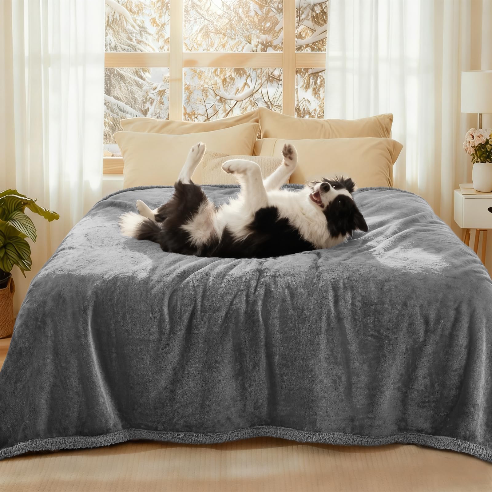 luciphia Waterproof Dog Blanket, Washable Blanket for Dogs Cats, Anti-Pee Large Size, Sherpa Fleece Sofa Protector for Dogs Light Grey XL (145 * 216cm)