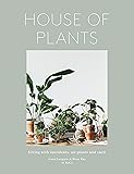 Urban Jungle Living And Styling With Plants Igor