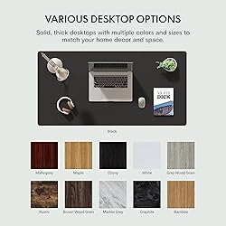 FLEXISPOT 60" Large Height Adjustable Standing