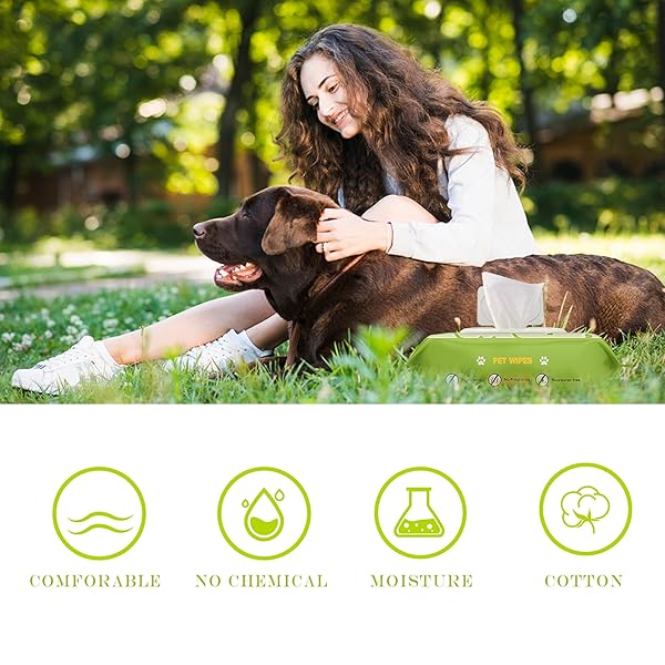 RIXBEO UNSCENTED HYPOALLERGENIC PET WIPES – DEODORIZING CLEANING WIPES FOR DOGS & CATS, ALCOHOL-FREE & PH BALANCED, THICK & LARGE WIPES FOR PAWS, BODY, BUM & FACE, 80 COUNT