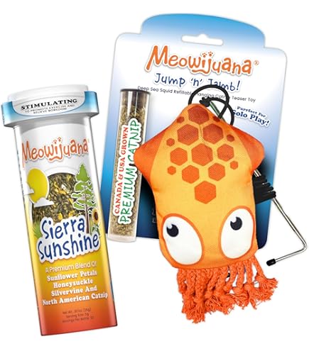 Teora Soconteraconsta De Vygotsky | Pscologa Da Educação, Como Fazer Uma Monografa