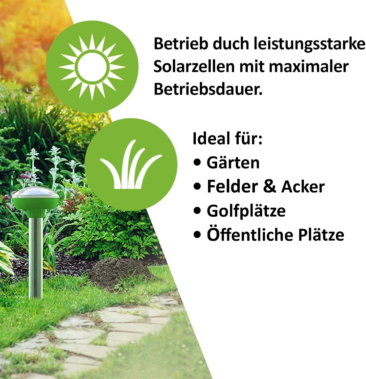ISOTRONIC® Solar Mole Scarer, Effective Vibrasonic Deterrent against Mole, Mouse, Rat, Ant, Vole, Snake - Image 5
