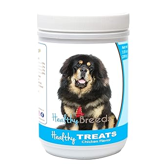 small tibetan mastiff