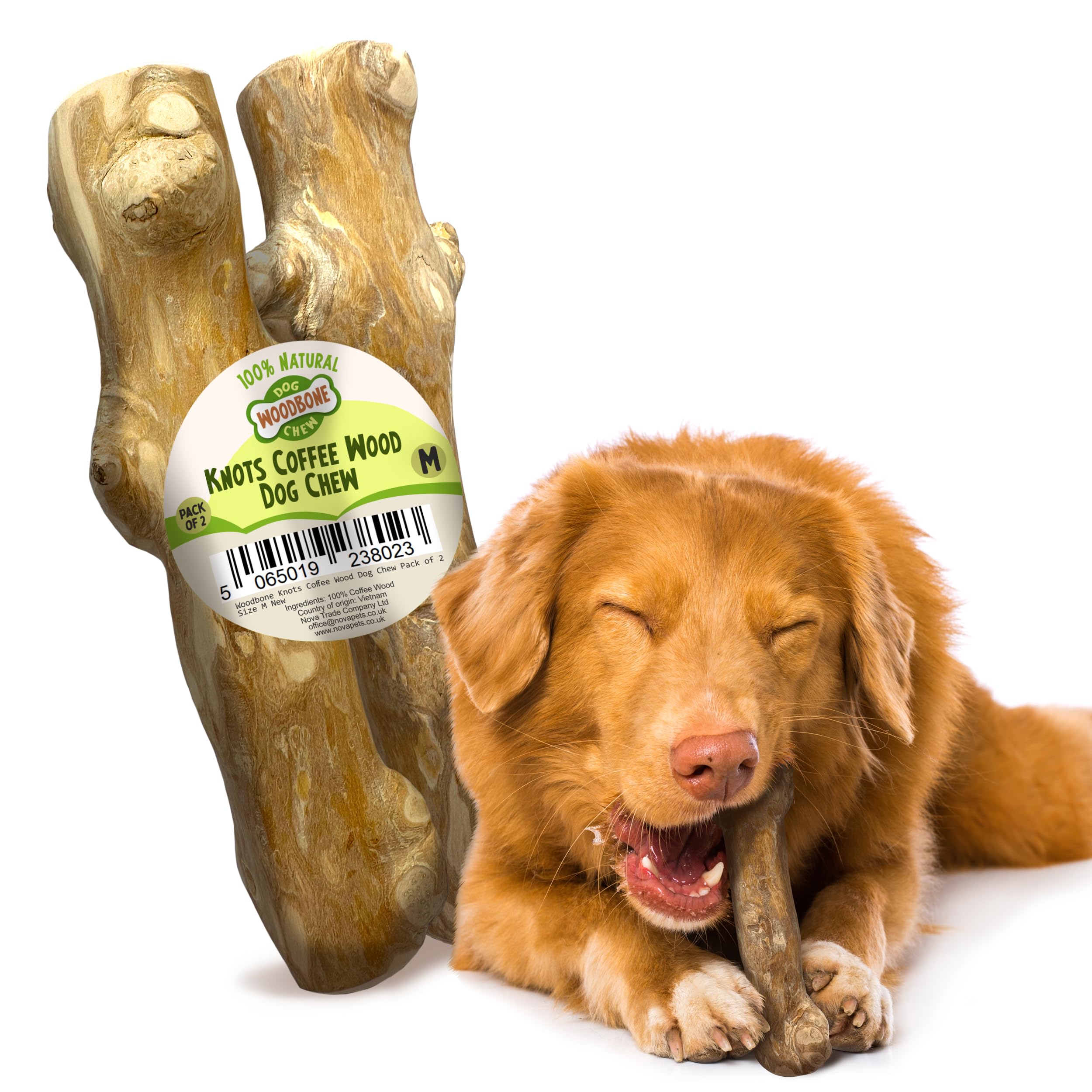 Woodbone Knots Coffee Wood Dog Chew Toy for Medium Dogs - Natural Wood Knots Branch Chewing Stick - Pack of 2 Size M