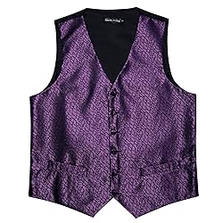 Barry.Wang Men Purple Dress Vest Matched Tie Set