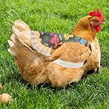 Colorful Chicken Saddle Apron for Hens Back Protector Elastic Strap Canvas view 9