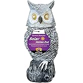 Owlsome Solar Snowy Owl with Flashing Eyes, Rotating Head, Hooting, Motion Detector and Silent Mode, Plastic Owl Garden Sculpture, Garden Decoration