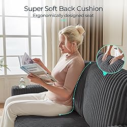 LINSY HOME Loveseat Sofa with Storage - Comfy Plush