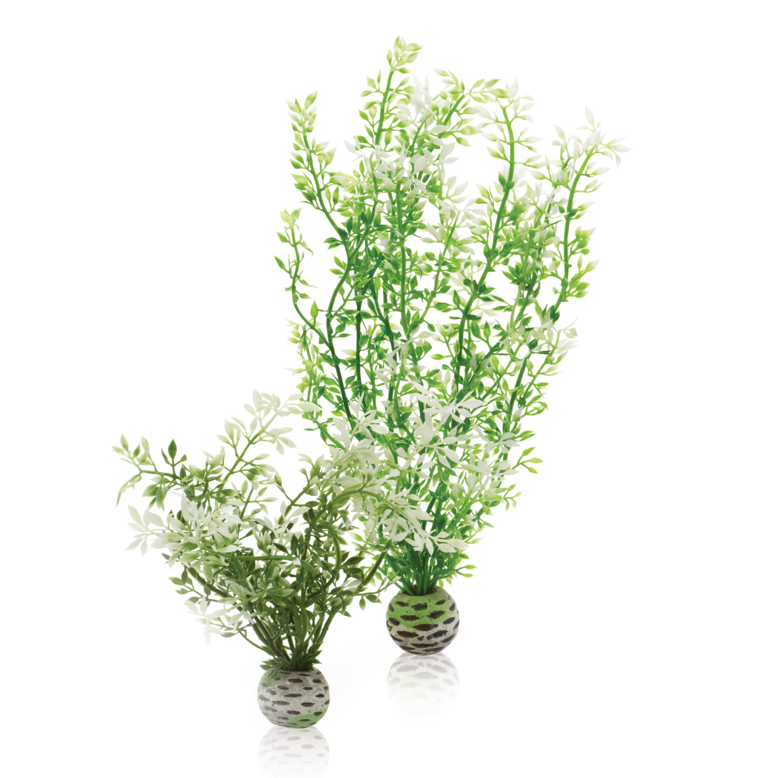 biOrb Fish Tank Decorations, Winter Flowers (Green) With Weighted Balls, 2 x Aquarium Plants (Medium), Artificial Fish Tank Plants To Add Colour, Natural-Looking Aquarium Decor For A Scenic Background