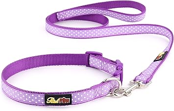 Purple polka dot dog collar Clearance